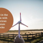 Why American Lithium Stocks Are the Future of Energy Investments?
